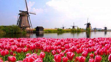 Learn Frisian Online – Level 1